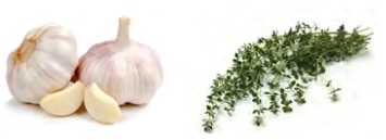 Ajos y tomillo