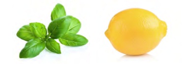 Albahaca y limon